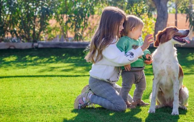 jardin-vertical-cesped-artificial