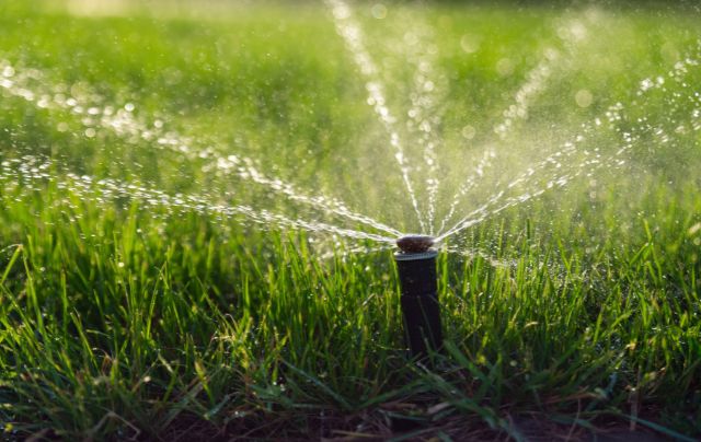 hay-que-regar-el-cesped-artificial
