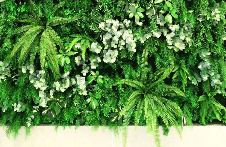 jardin-vertical-dentro-de-casa