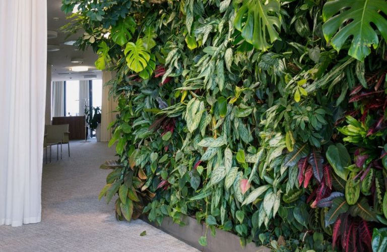 jardin-vertical-en-casa