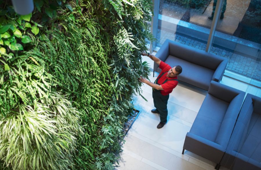 jardines-verticales-en-interiores